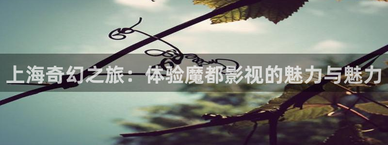 秋霞网免费网站