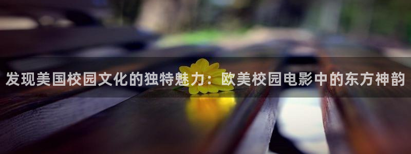 秋霞高清在线