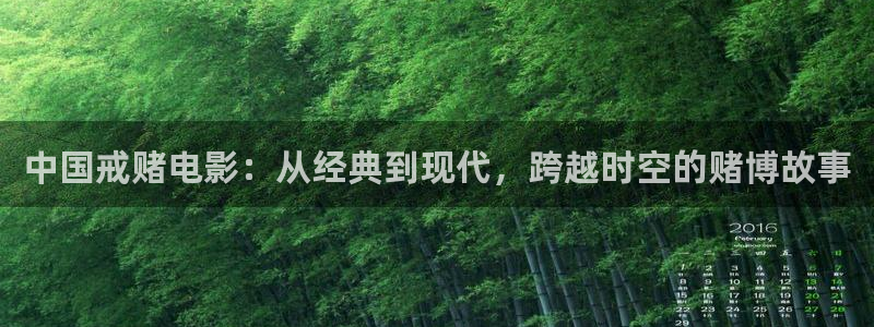 秋霞电影网yy