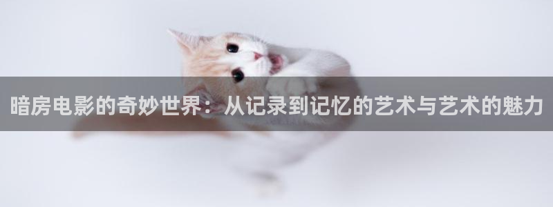秋霞影视在线看一级