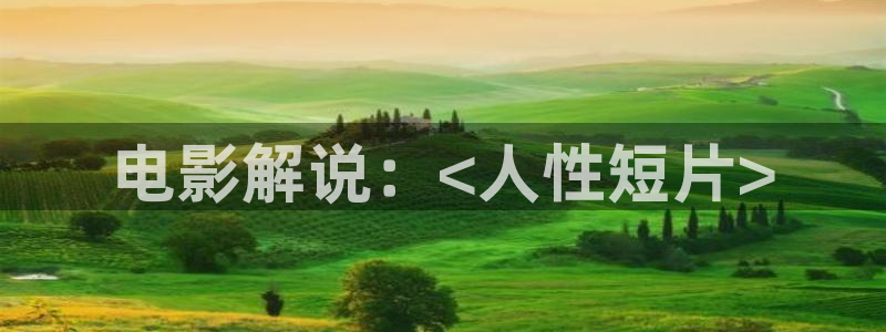 秋霞成年网