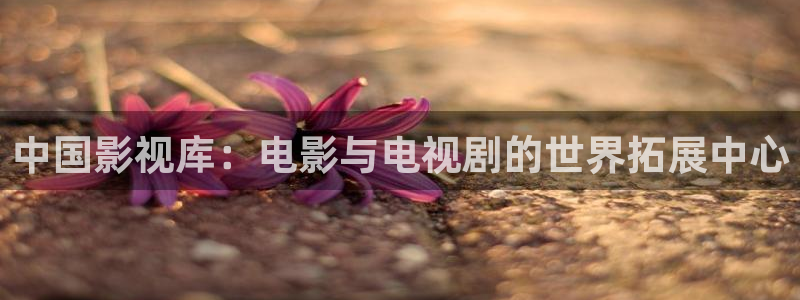 秋霞5
