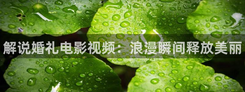 秋霞视频播放