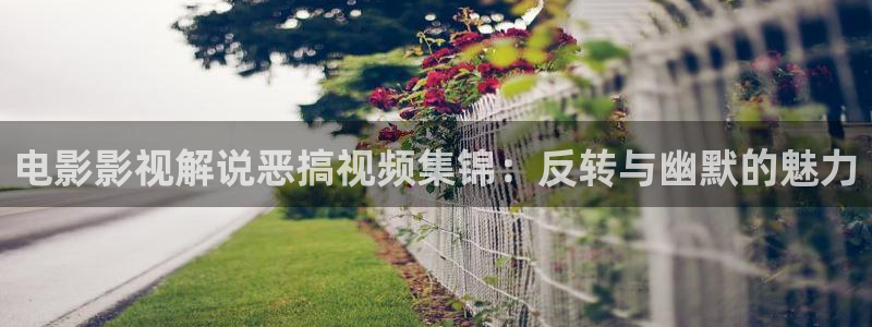 秋霞电影网成年