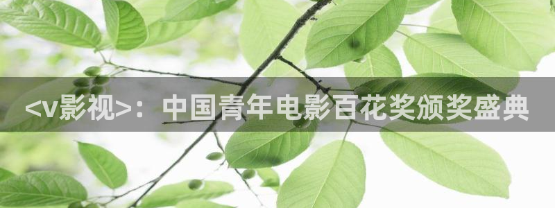 秋霞网鲁丝片在线观看