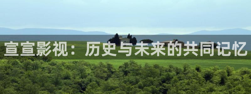 秋霞影视最新版本