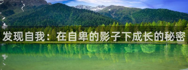 秋霞视频伦理片