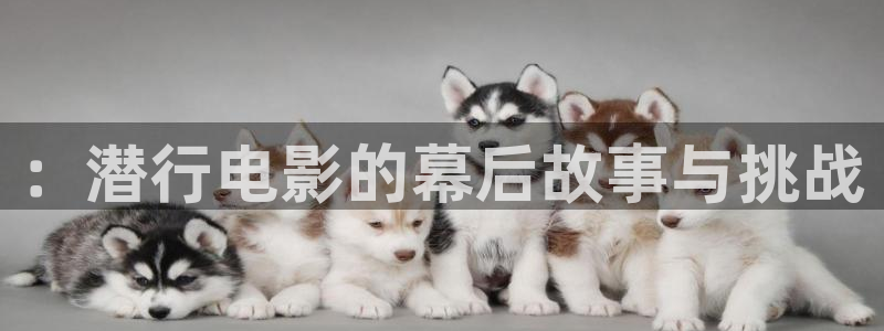 秋霞影院euss