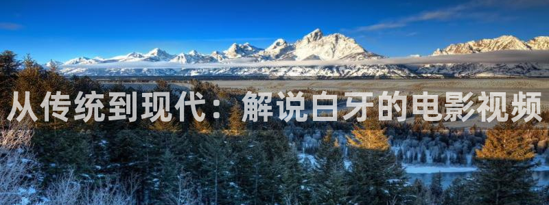 秋霞影院先锋