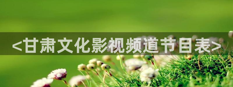 最新伦理片秋霞电影网