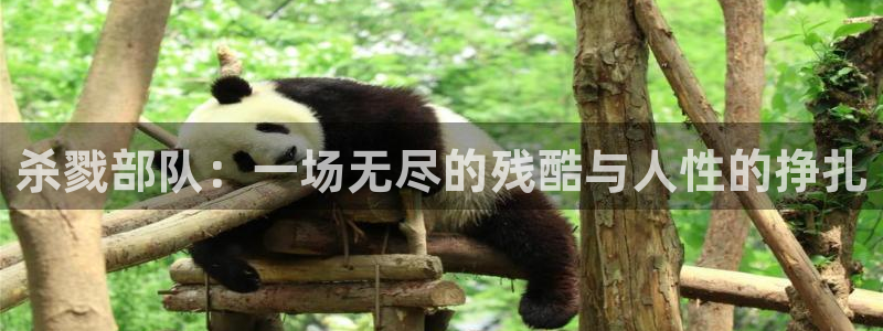 秋霞电影国产