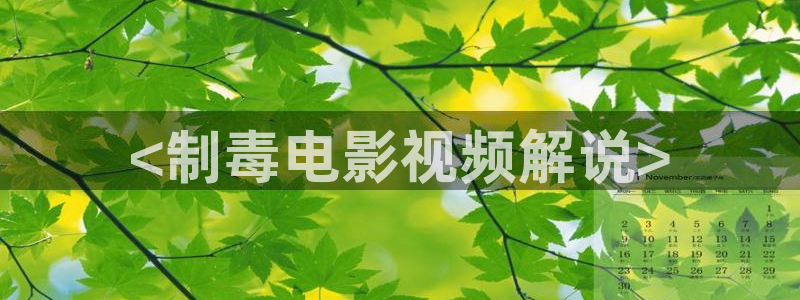 秋霞电影在线伦理
