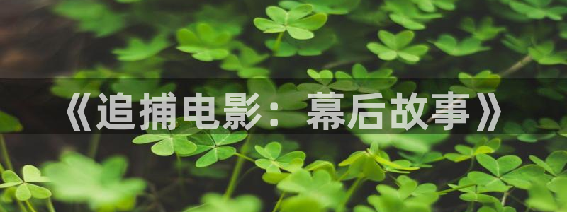 秋霞成