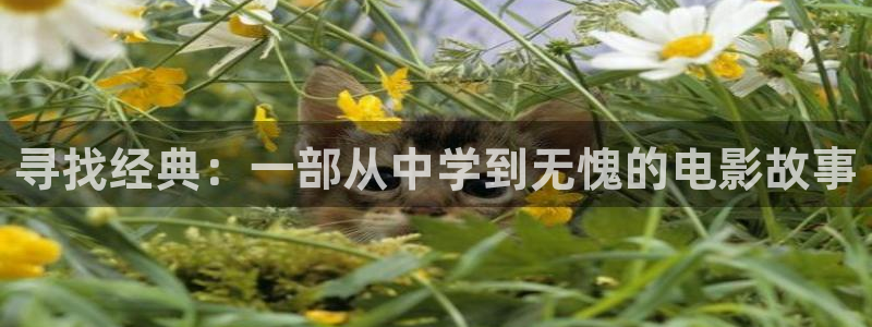 秋霞影院的