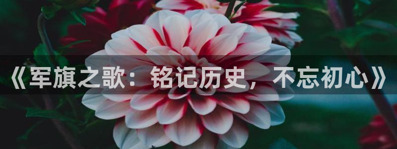 新秋霞影视