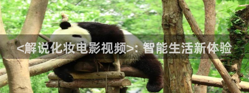 秋霞电影网站在线免费观看