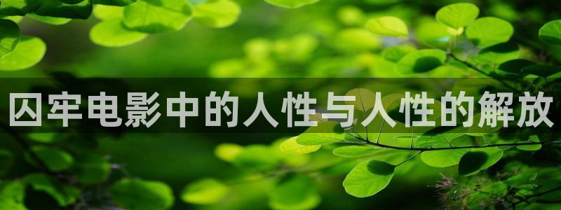 秋霞影院免费观看电视剧大全在线观看