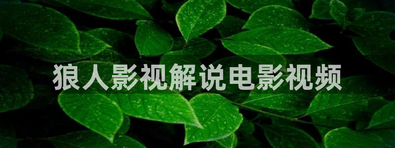 新秋霞伦理片