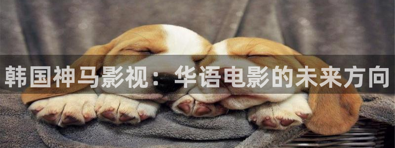 秋霞新入口