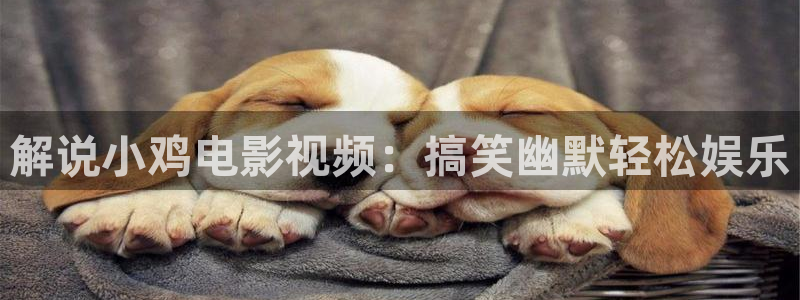 秋霞电影免费手机观看