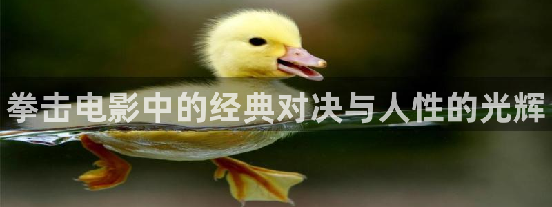 秋霞电影高清在线